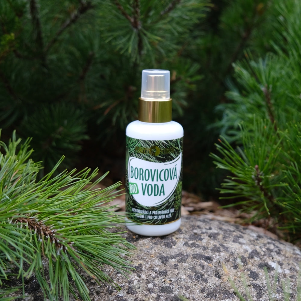 Eau de pin bio 100 ml